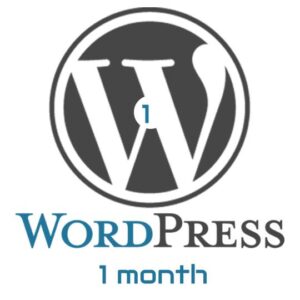 Wordpress Website Maintenace - 1 month