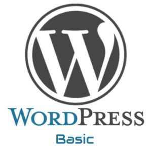 Wordpress Website - Basic Package