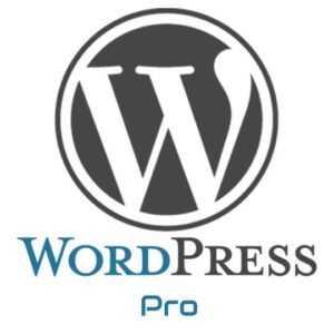 WordPress Website – Pro Package