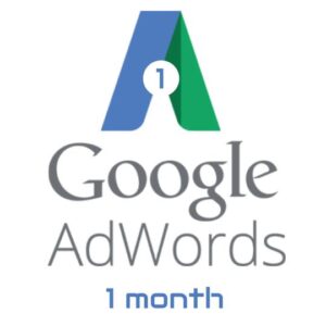 AdWords management service - 1 month