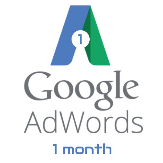 AdWords management service - 1 month