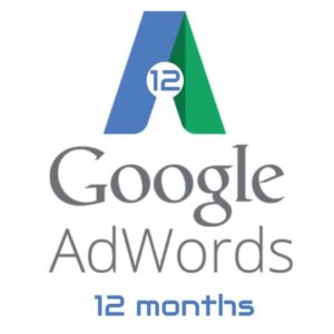 AdWords management service - 12 months